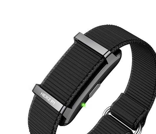 Smartband
