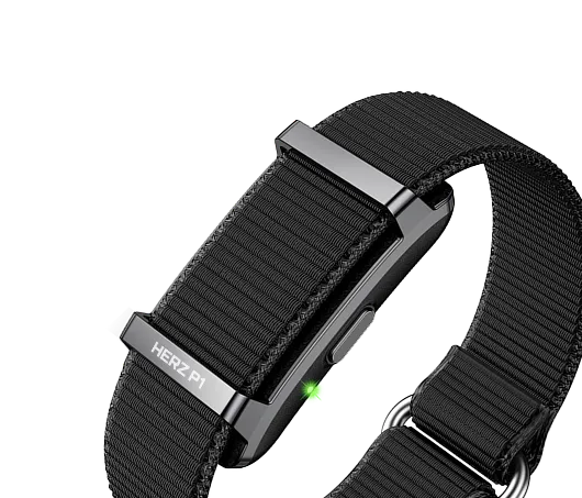 Smartband